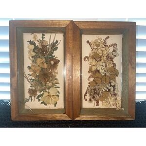 Vintage Dried Flowers Petals In Shadow Box Wood‎ Framed Wall Art Set of 2